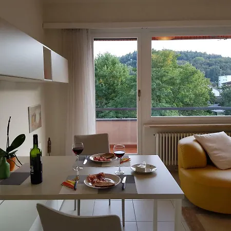 Greta 29 Apartament Losone